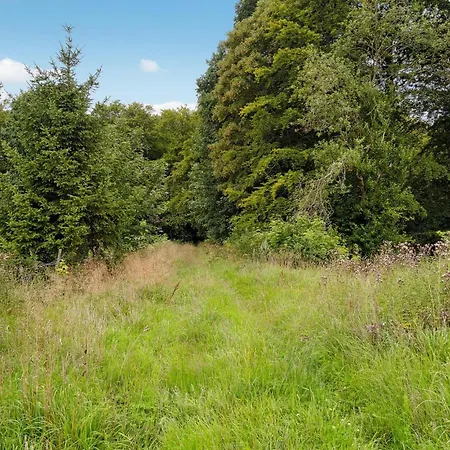 Pet Friendly In With Kitchen